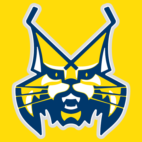 HK Spišská Nová Ves