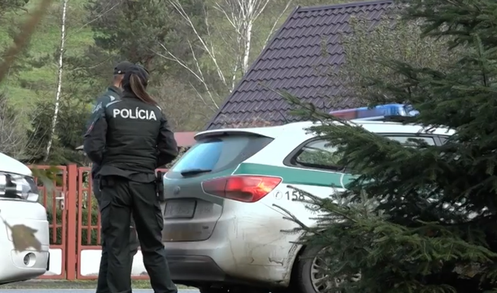 policajti