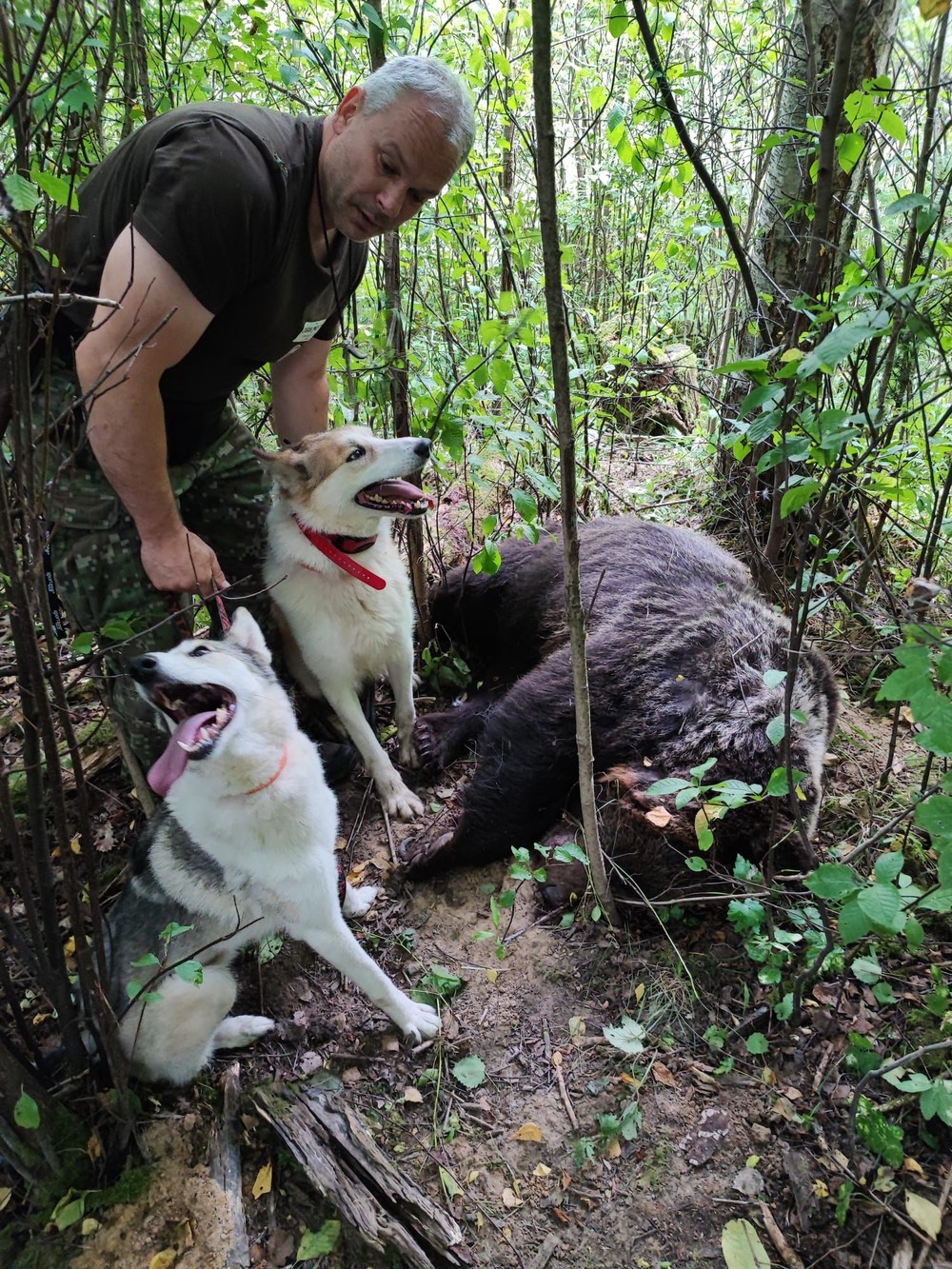 zastrelený medveď