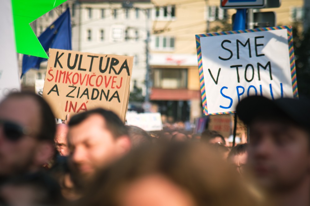 protesty ps za kulturu (10)