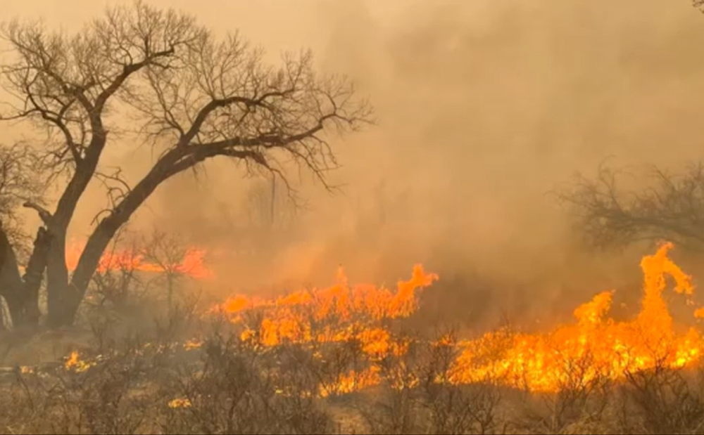 Screenshot 2024-02-28 103624