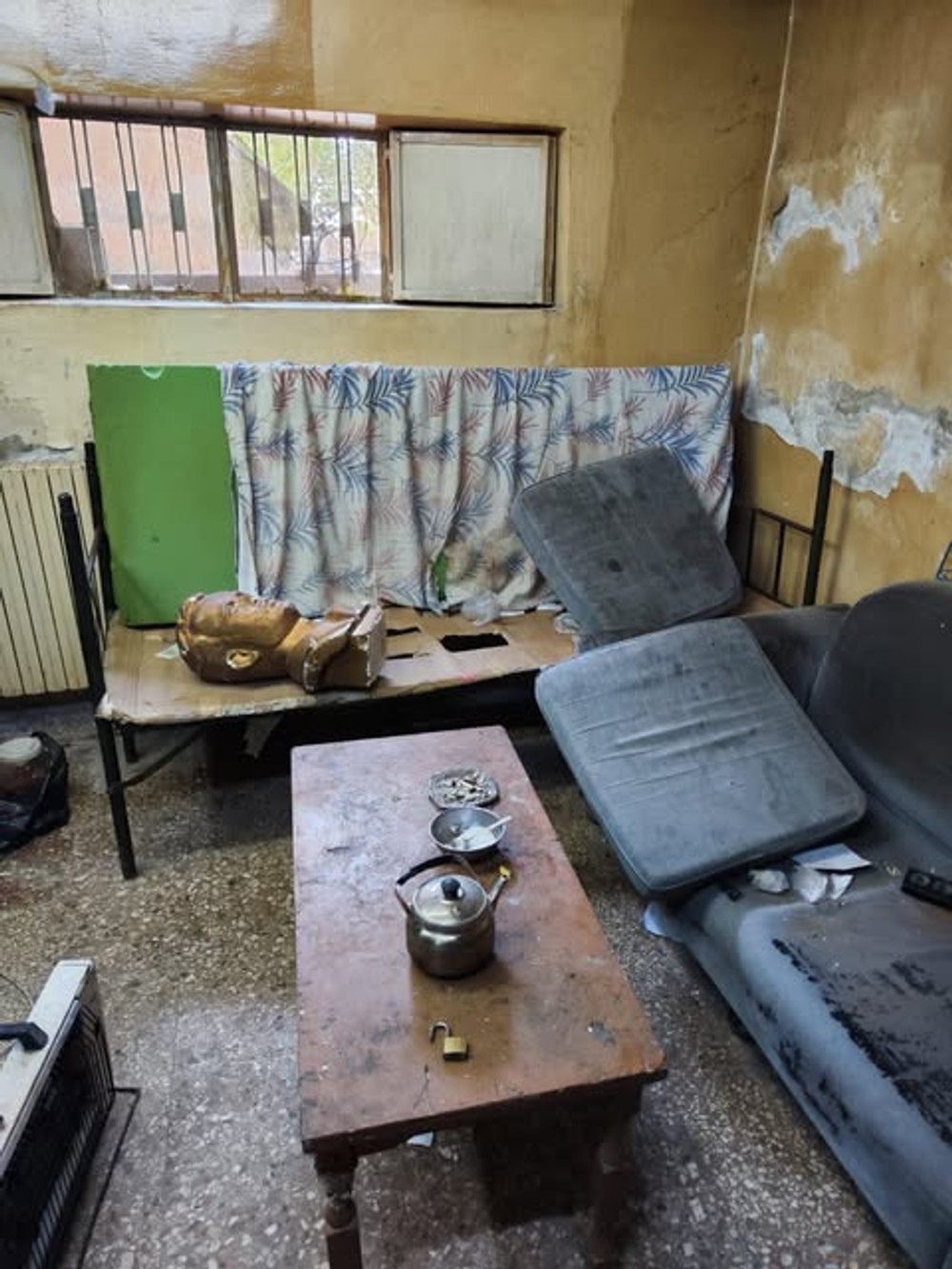 syria vazenie pas 6