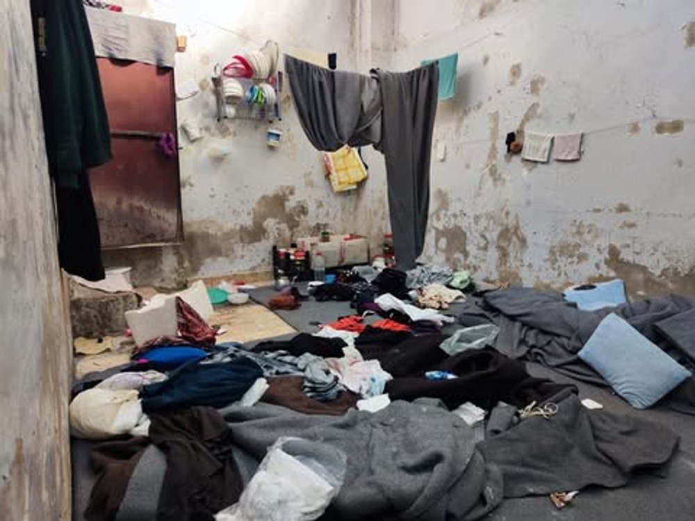 syria vazenie pas 9