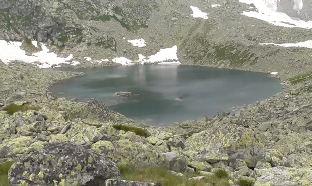 tary pleso