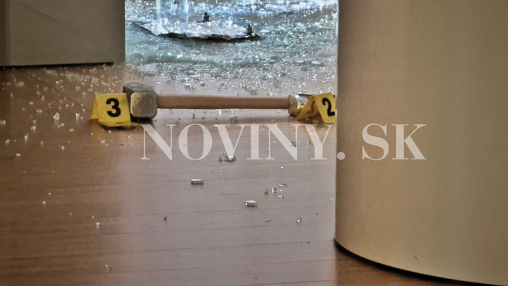 335050713_228133393106315_1781587065410995804_n