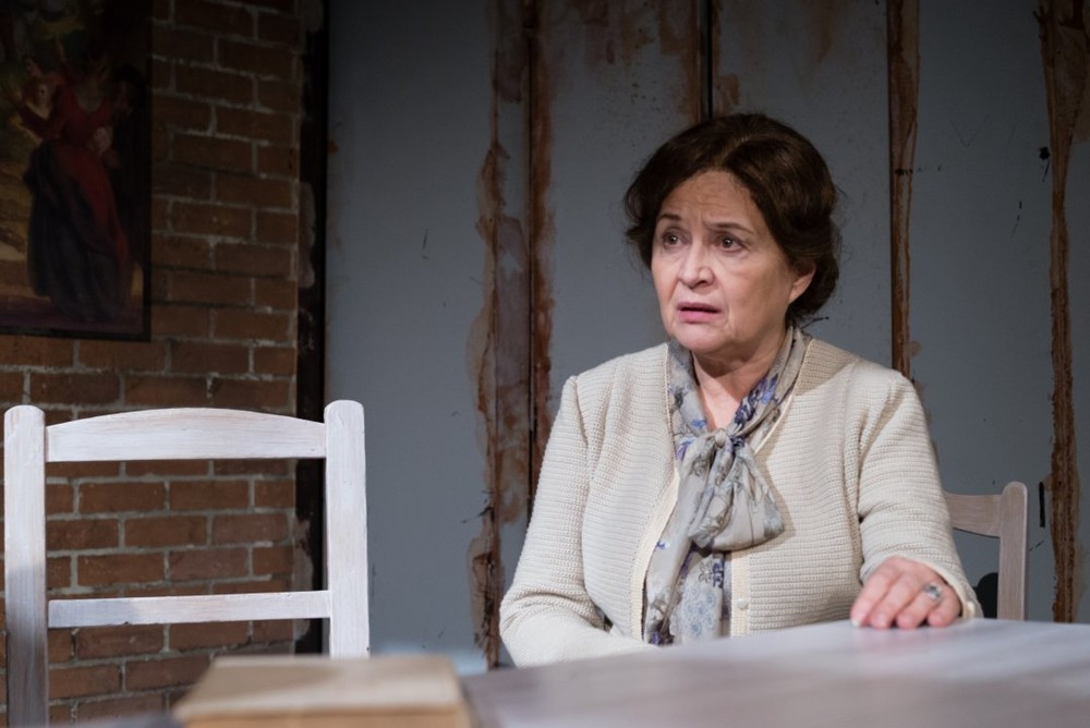 emilia_vasaryova_matka