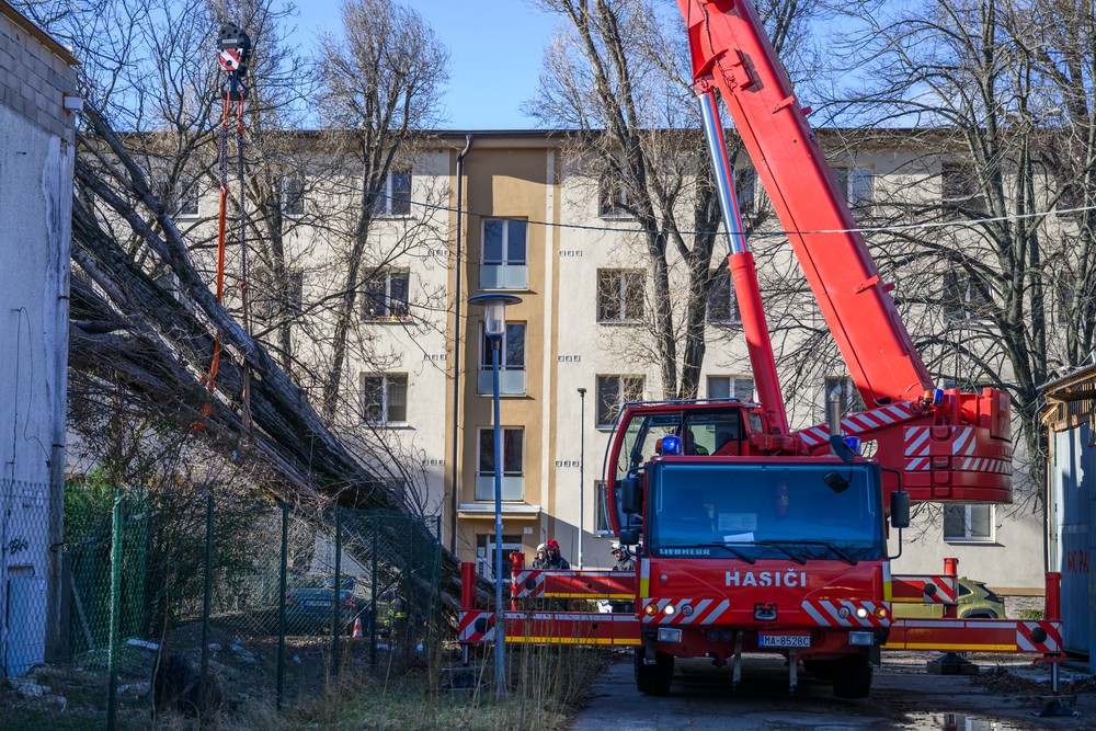 Bratislava škody strom vietor vichrica (5)