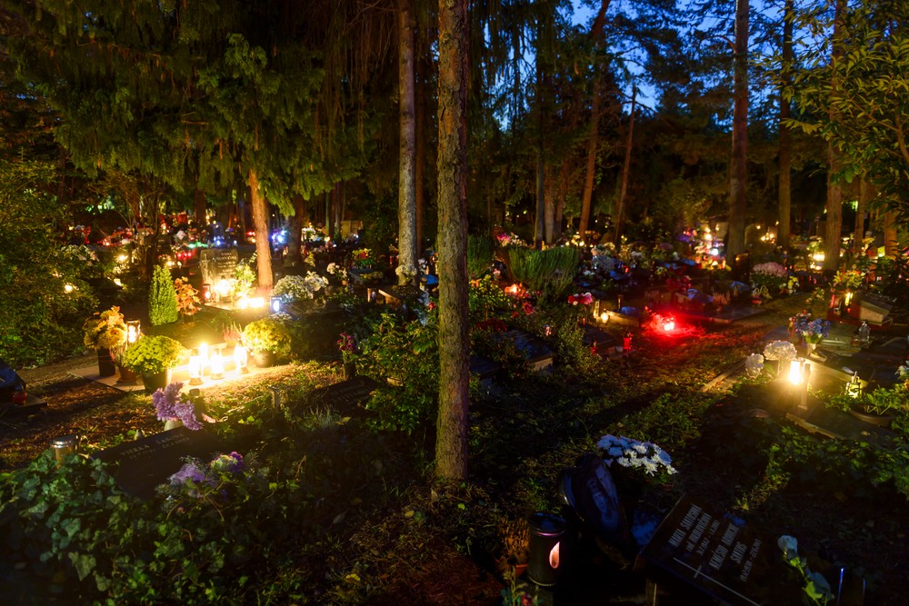 cintoriny dusicky (4)