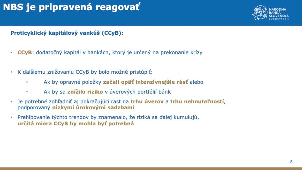 Správa o finančnej stabilite - máj 2021