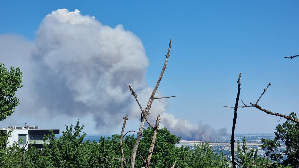 WhatsApp Image 2023-07-15 at 14.59.47