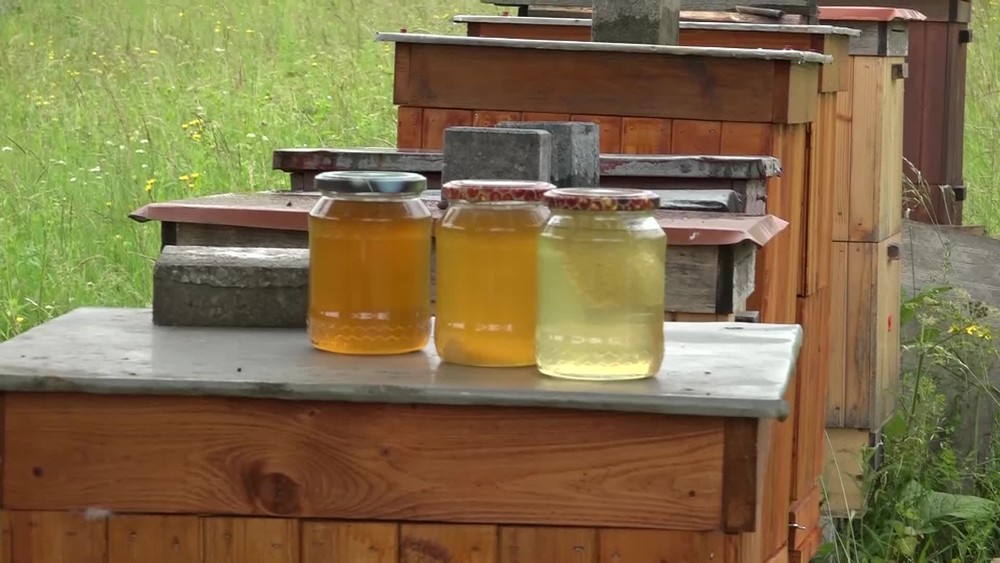 [multi] 061424MCJ 3987