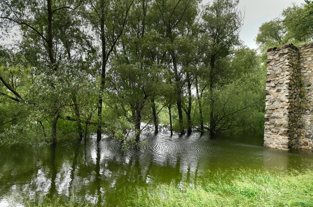 Hladina Dunaja