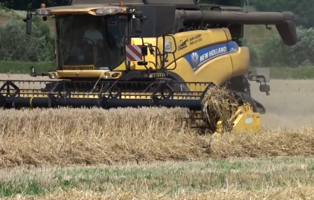 Zver ničí úrodu 4