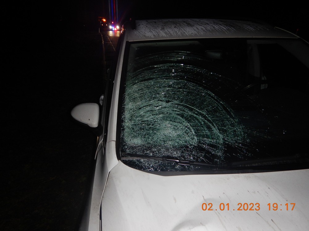 Dievčina neprežila zrážku