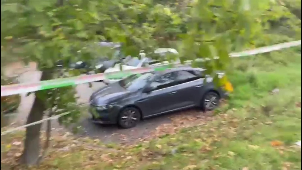 [multi] pachateľ zamoocka 3 16728