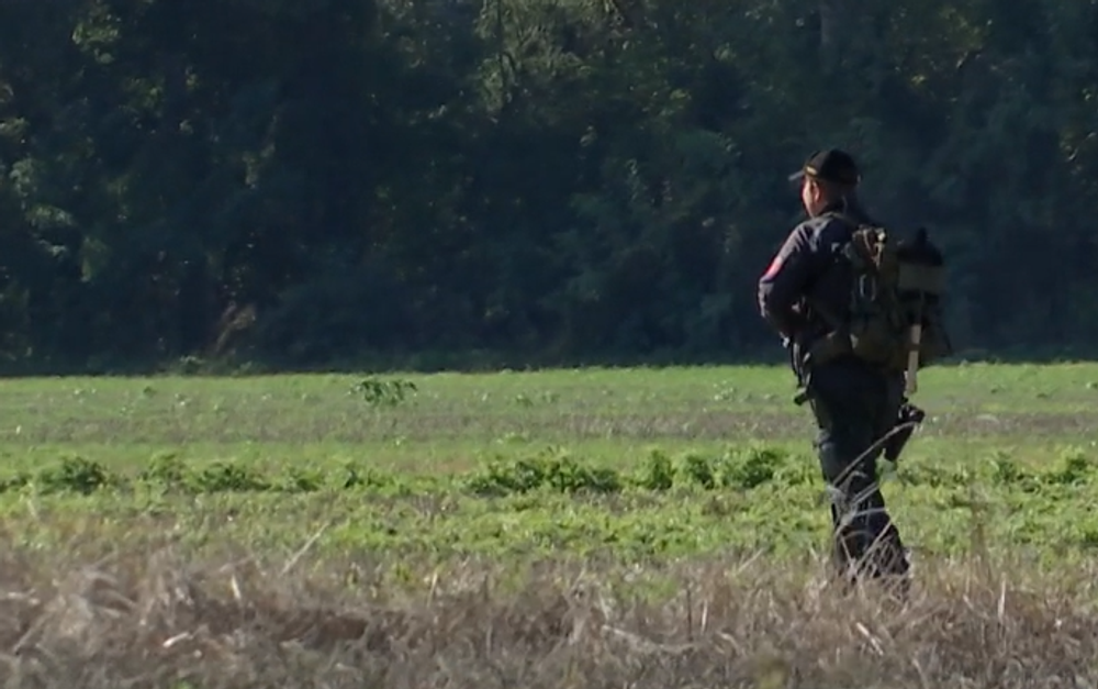 Pytliaci otrávili vzácneho orliaka morského 