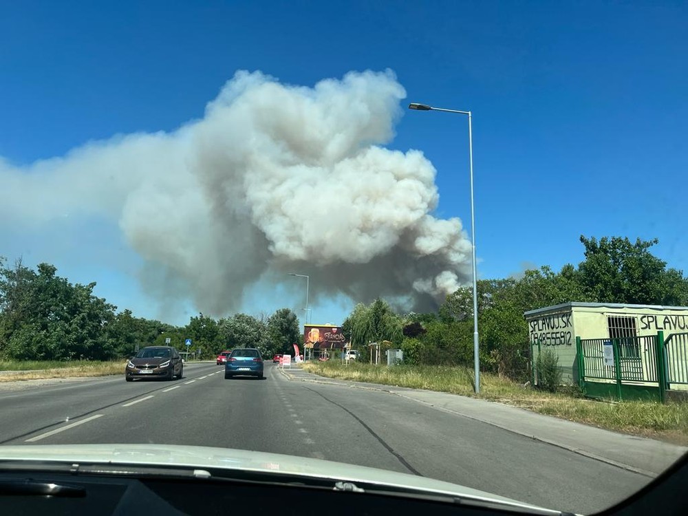 WhatsApp Image 2023-07-15 at 14.59.58