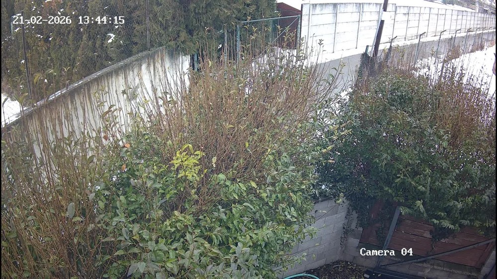 [multi] Zemetrasenie od čitateľov komplet 1156