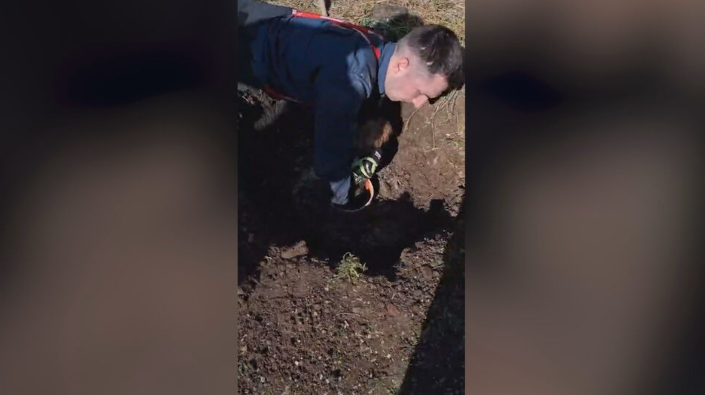 hasici psik zachrana