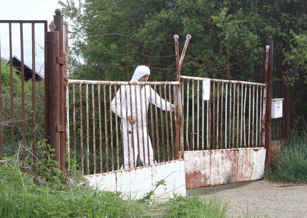 Mor ošípaných v Lovči
