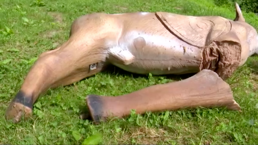 Medvedí útok na strelnici