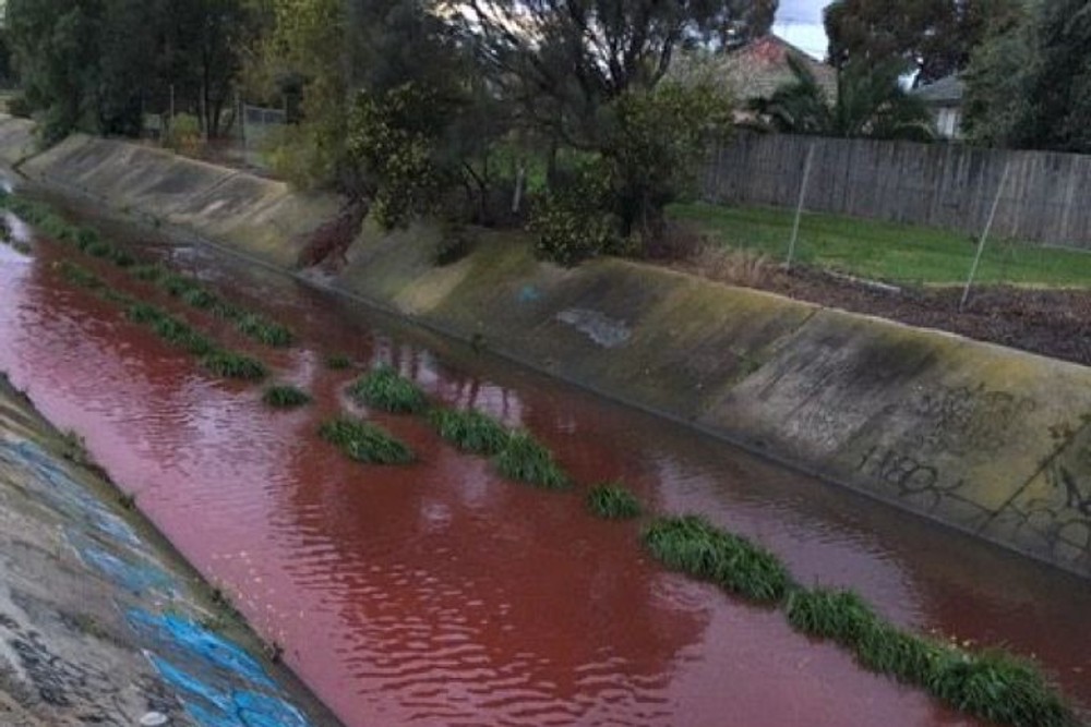Rieka nabrala krvavo červenú farbu 