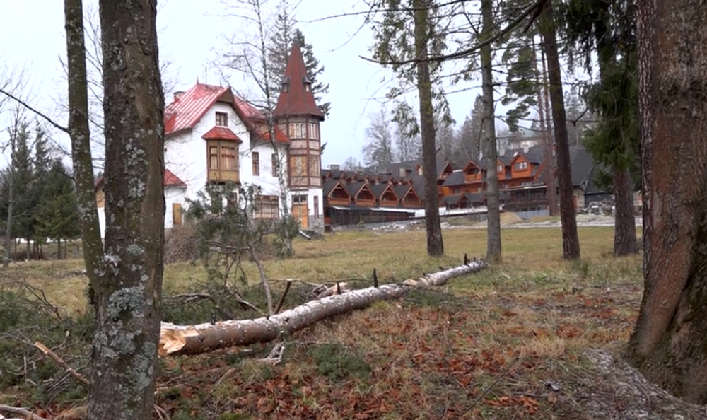 Severom Slovenska sa prehnal vietor o sile orkánu. Viaceré obce ostali na Štedrý deň bez elektriny