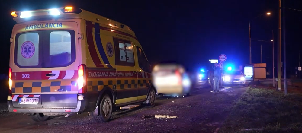 mladik zrazil muza so psom 1