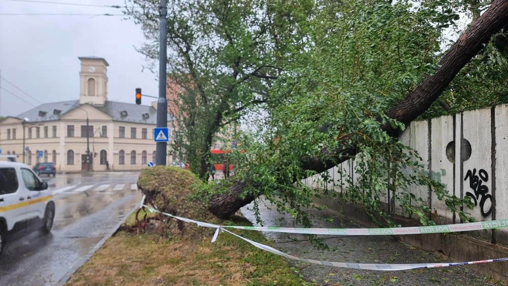 Karadzičova