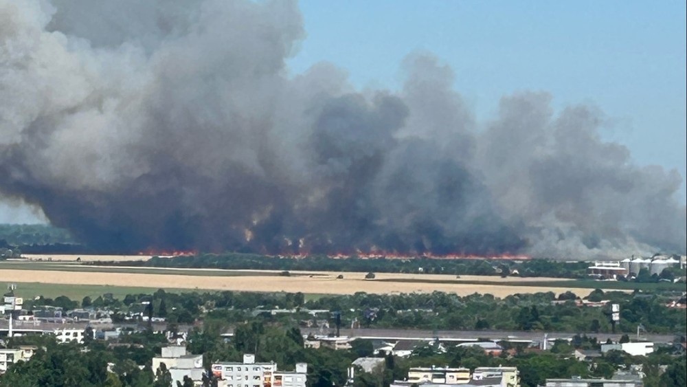 thumbnail_image0 (cropped)