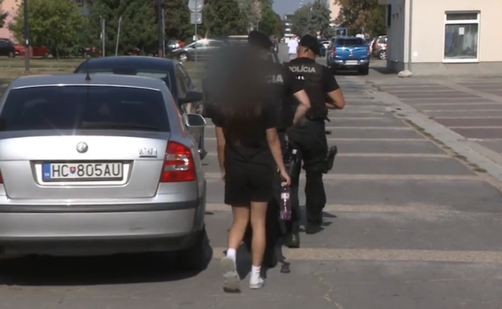 "Lovci" pedofilov