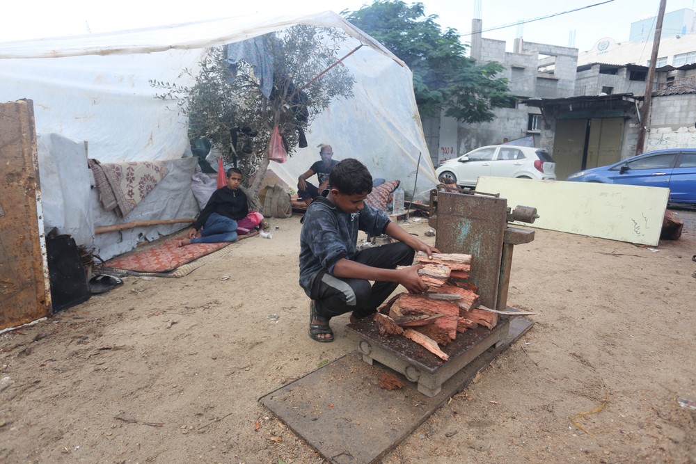 palestinians