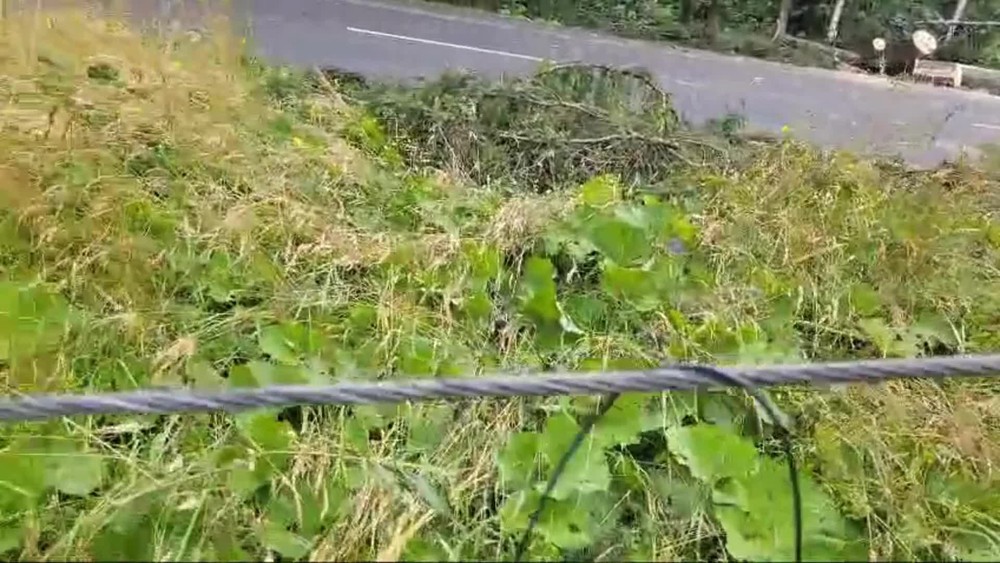 [multi] Kysuce Kalamita 7325