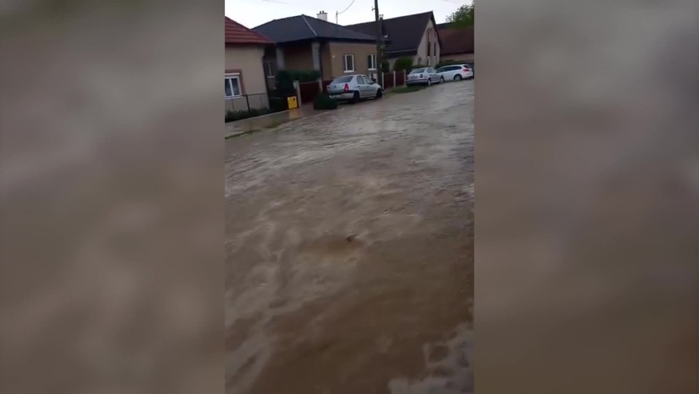 [multi] 050524QSJ 2029