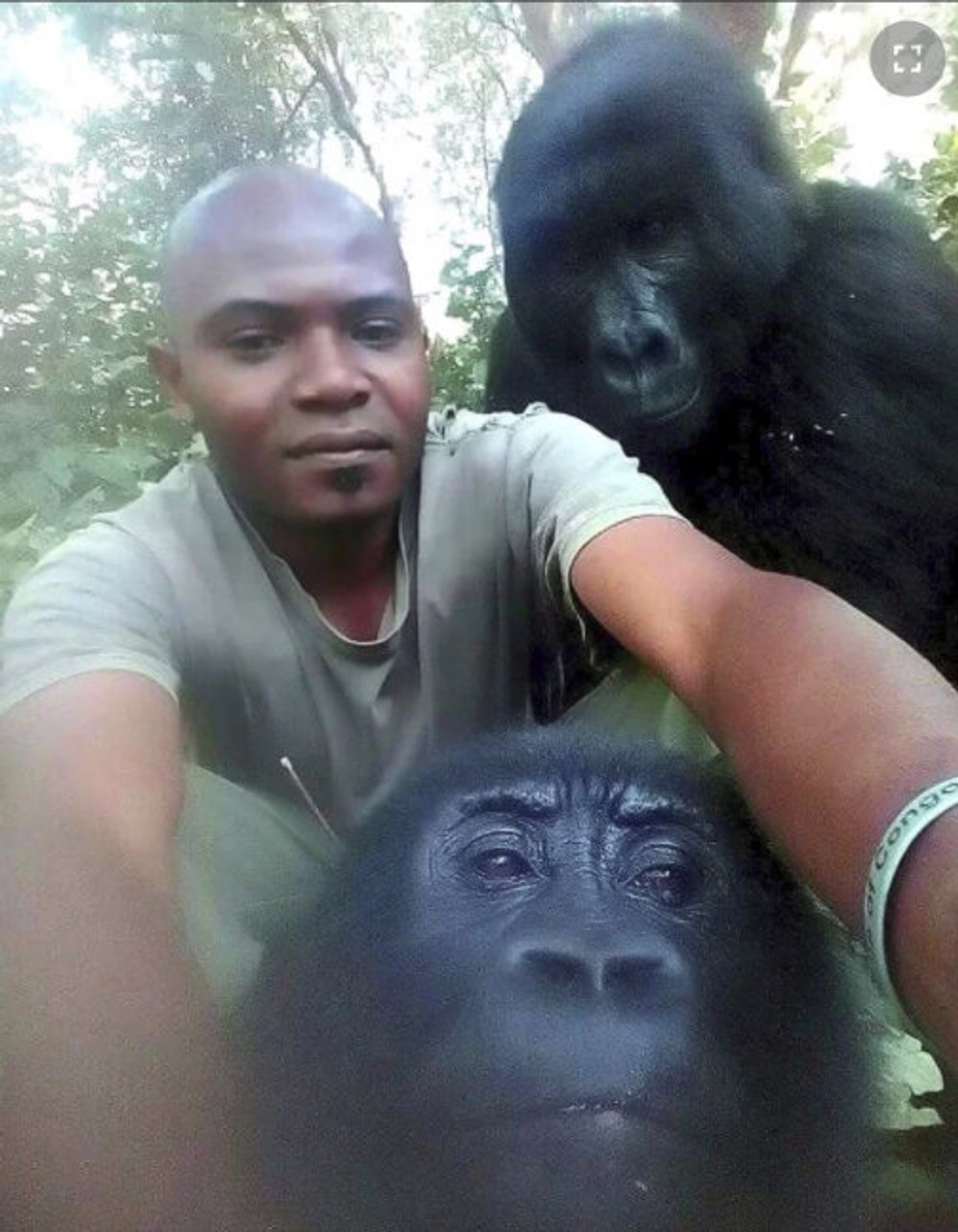 Fotografie sa stali hitom internetu. FB Virunga National Park