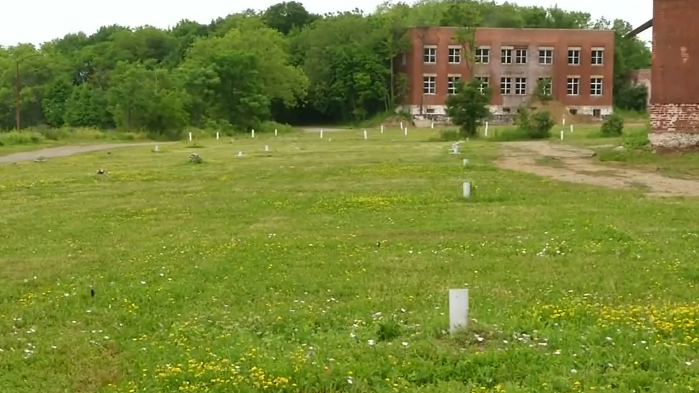 NY Hart island
