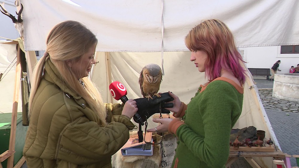 [multi] 041925QHT 11351