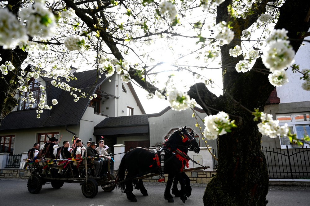 20240401_TEP01_RS24525031493