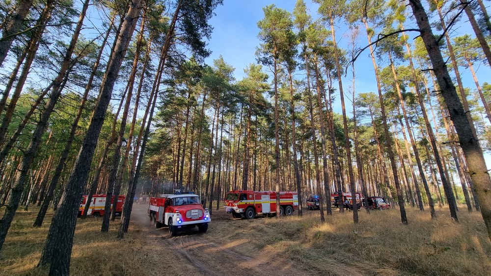 WhatsApp Image 2024-09-03 at 17.12.05