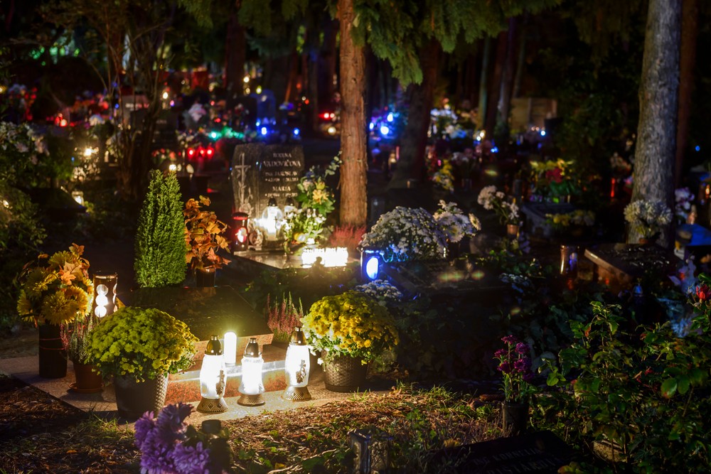 cintoriny dusicky (5)