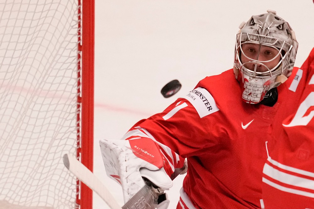 MS v hokeji: Francúzsko-Poľsko