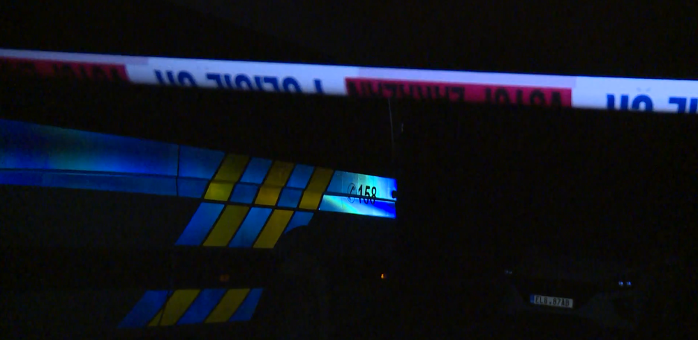 digitalna samovrazda 4