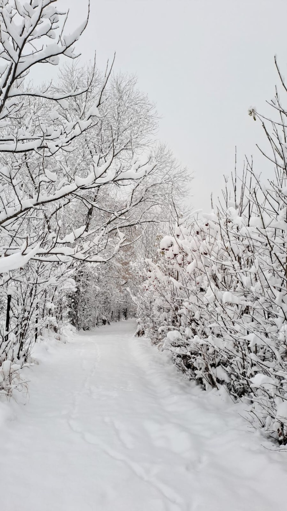 sneh na strednom Slovensku