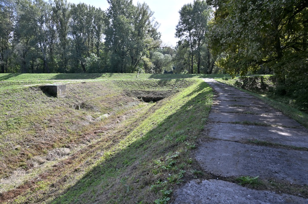Borsa_polder_Bodrog_004071928