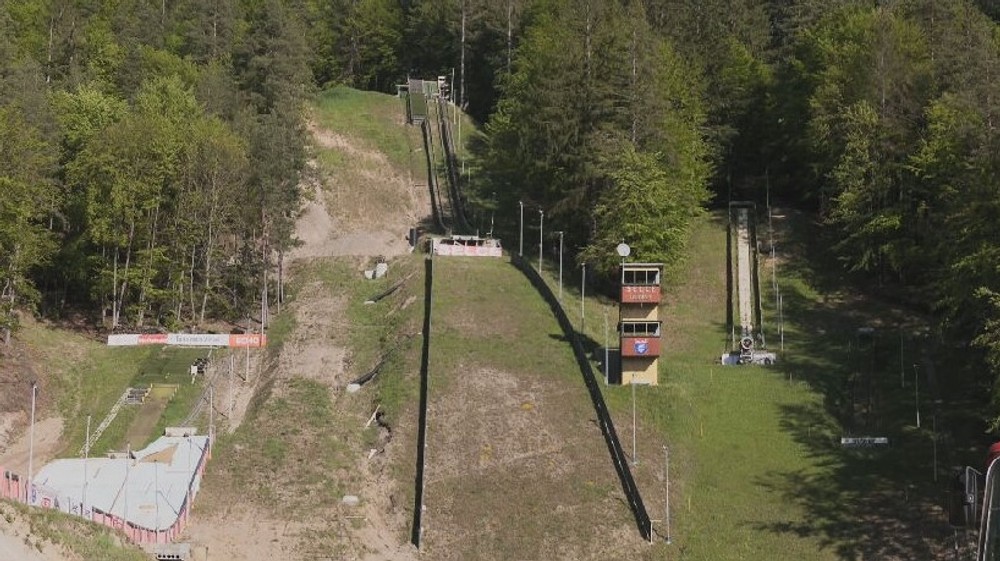 Hubára napadol medveď (5)