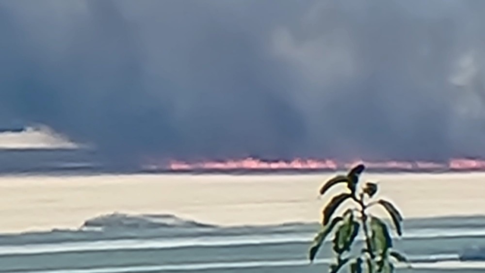 WhatsApp Image 2023-07-15 at 14.59.47 (2)