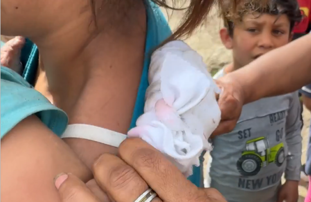 Screenshot 2024-04-10 102322