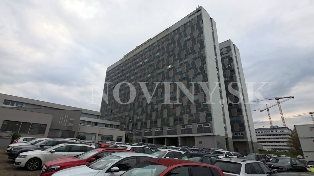 Medveď napadol bežca na Urpíne