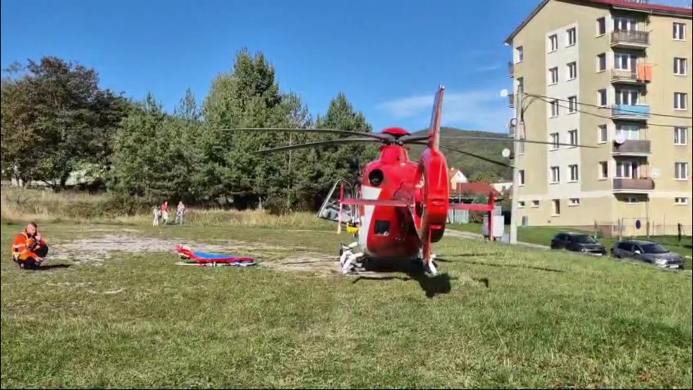 [multi] Útok medveďa v oblasti Ploský Grúň 19260