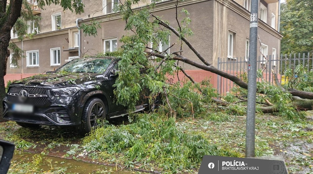 strom padol na auto